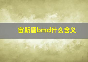 宙斯盾bmd什么含义