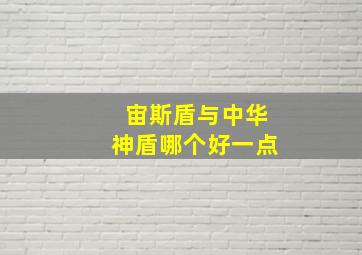 宙斯盾与中华神盾哪个好一点