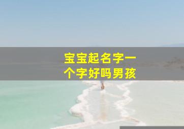 宝宝起名字一个字好吗男孩