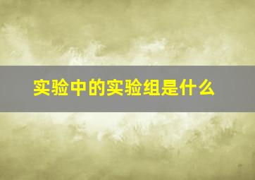 实验中的实验组是什么