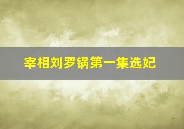 宰相刘罗锅第一集选妃