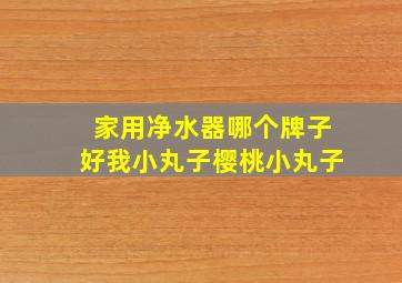 家用净水器哪个牌子好我小丸子樱桃小丸子