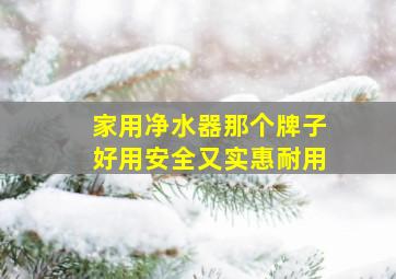 家用净水器那个牌子好用安全又实惠耐用