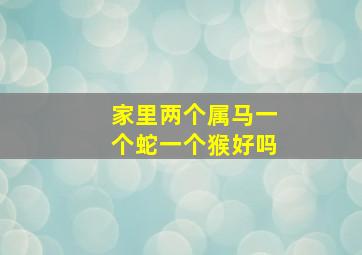 家里两个属马一个蛇一个猴好吗