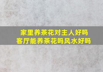 家里养茶花对主人好吗客厅能养茶花吗风水好吗