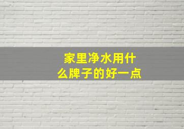 家里净水用什么牌子的好一点