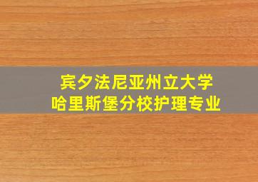 宾夕法尼亚州立大学哈里斯堡分校护理专业