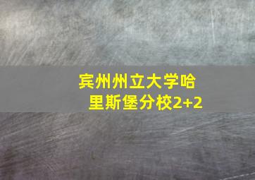 宾州州立大学哈里斯堡分校2+2