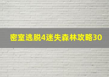 密室逃脱4迷失森林攻略30