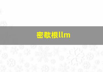 密歇根llm