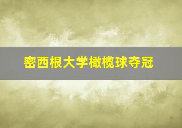 密西根大学橄榄球夺冠