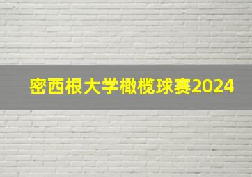 密西根大学橄榄球赛2024