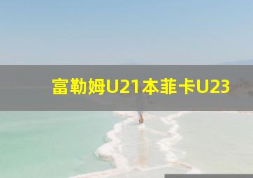 富勒姆U21本菲卡U23