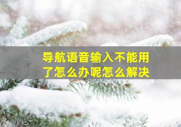 导航语音输入不能用了怎么办呢怎么解决