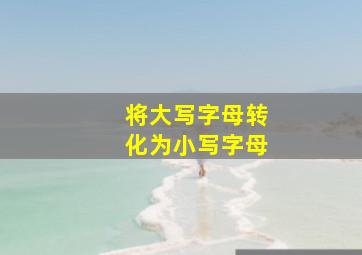 将大写字母转化为小写字母