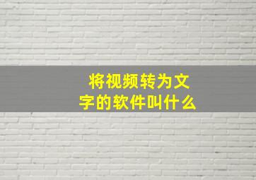 将视频转为文字的软件叫什么