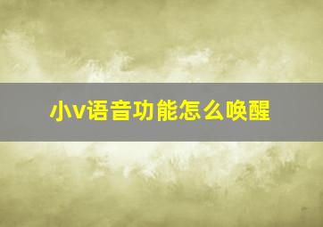 小v语音功能怎么唤醒