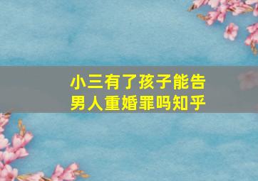 小三有了孩子能告男人重婚罪吗知乎