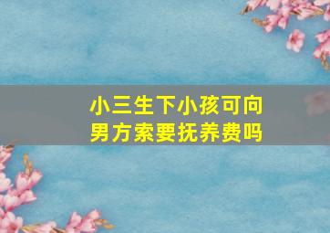 小三生下小孩可向男方索要抚养费吗