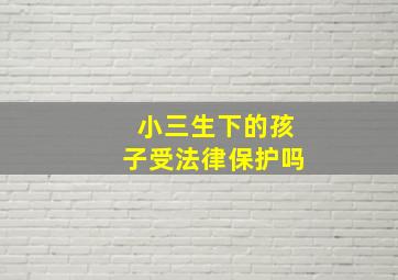 小三生下的孩子受法律保护吗