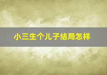 小三生个儿子结局怎样