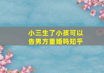 小三生了小孩可以告男方重婚吗知乎