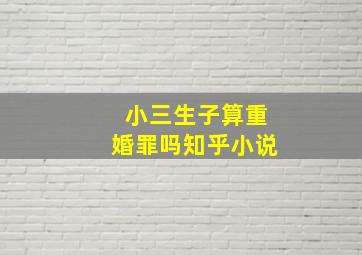 小三生子算重婚罪吗知乎小说