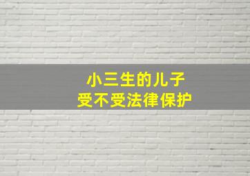 小三生的儿子受不受法律保护