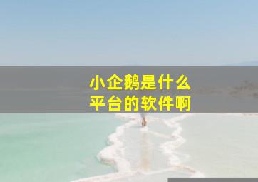 小企鹅是什么平台的软件啊