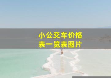 小公交车价格表一览表图片