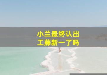 小兰最终认出工藤新一了吗