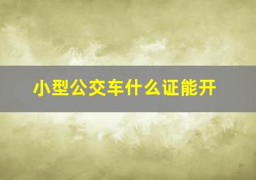 小型公交车什么证能开