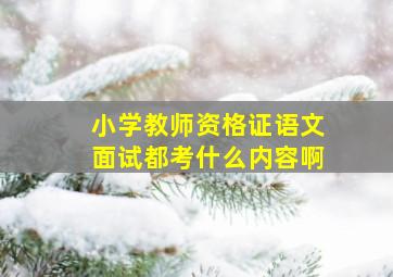 小学教师资格证语文面试都考什么内容啊