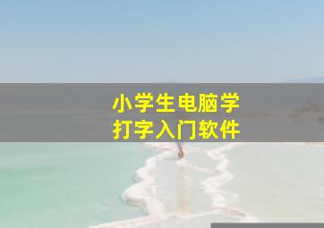 小学生电脑学打字入门软件