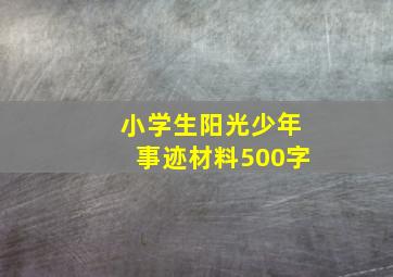 小学生阳光少年事迹材料500字