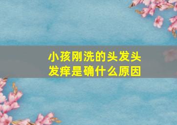 小孩刚洗的头发头发痒是确什么原因