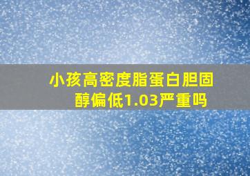 小孩高密度脂蛋白胆固醇偏低1.03严重吗