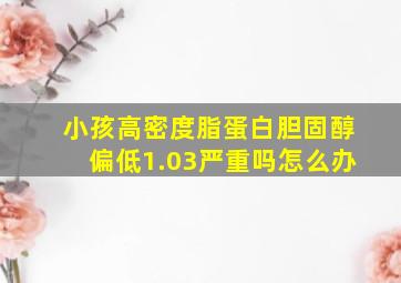 小孩高密度脂蛋白胆固醇偏低1.03严重吗怎么办