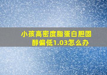 小孩高密度脂蛋白胆固醇偏低1.03怎么办