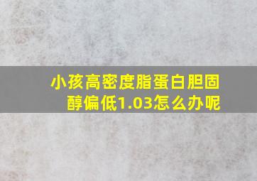 小孩高密度脂蛋白胆固醇偏低1.03怎么办呢