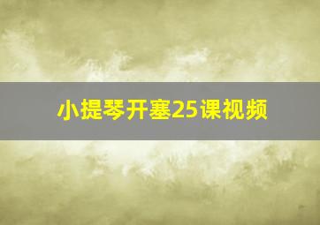 小提琴开塞25课视频