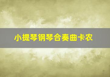 小提琴钢琴合奏曲卡农