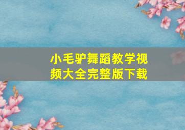 小毛驴舞蹈教学视频大全完整版下载