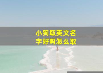 小狗取英文名字好吗怎么取