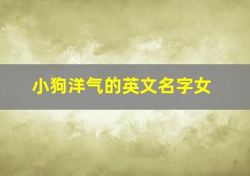 小狗洋气的英文名字女