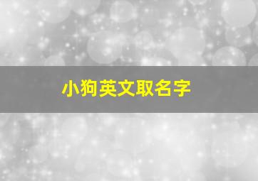 小狗英文取名字