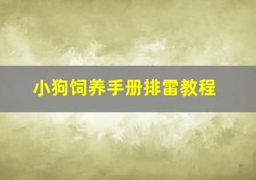 小狗饲养手册排雷教程