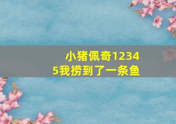 小猪佩奇12345我捞到了一条鱼