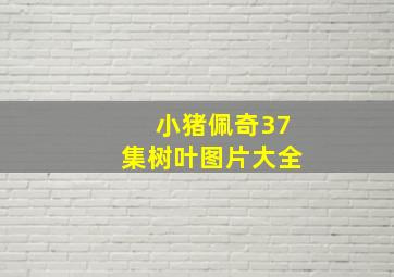 小猪佩奇37集树叶图片大全