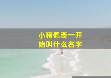 小猪佩奇一开始叫什么名字